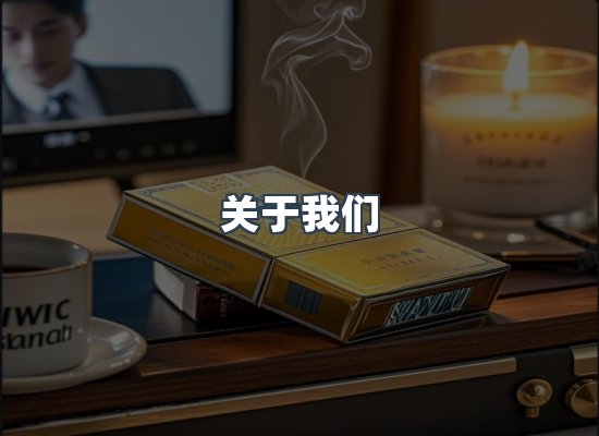 专业团队